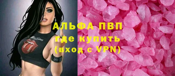 прущие грибы Богородицк