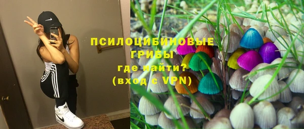 ALPHA-PVP Белокуриха