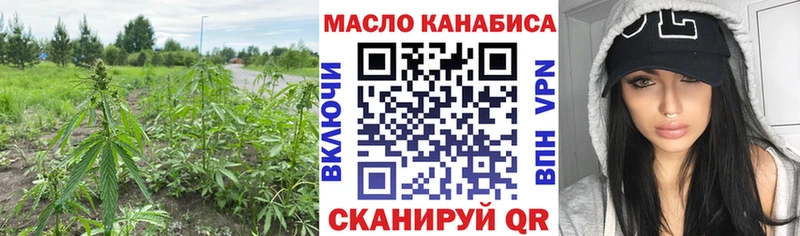 сайты даркнета Telegram  наркота  Ветлуга  ТГК THC oil  mega  